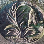 Lily Tombstone